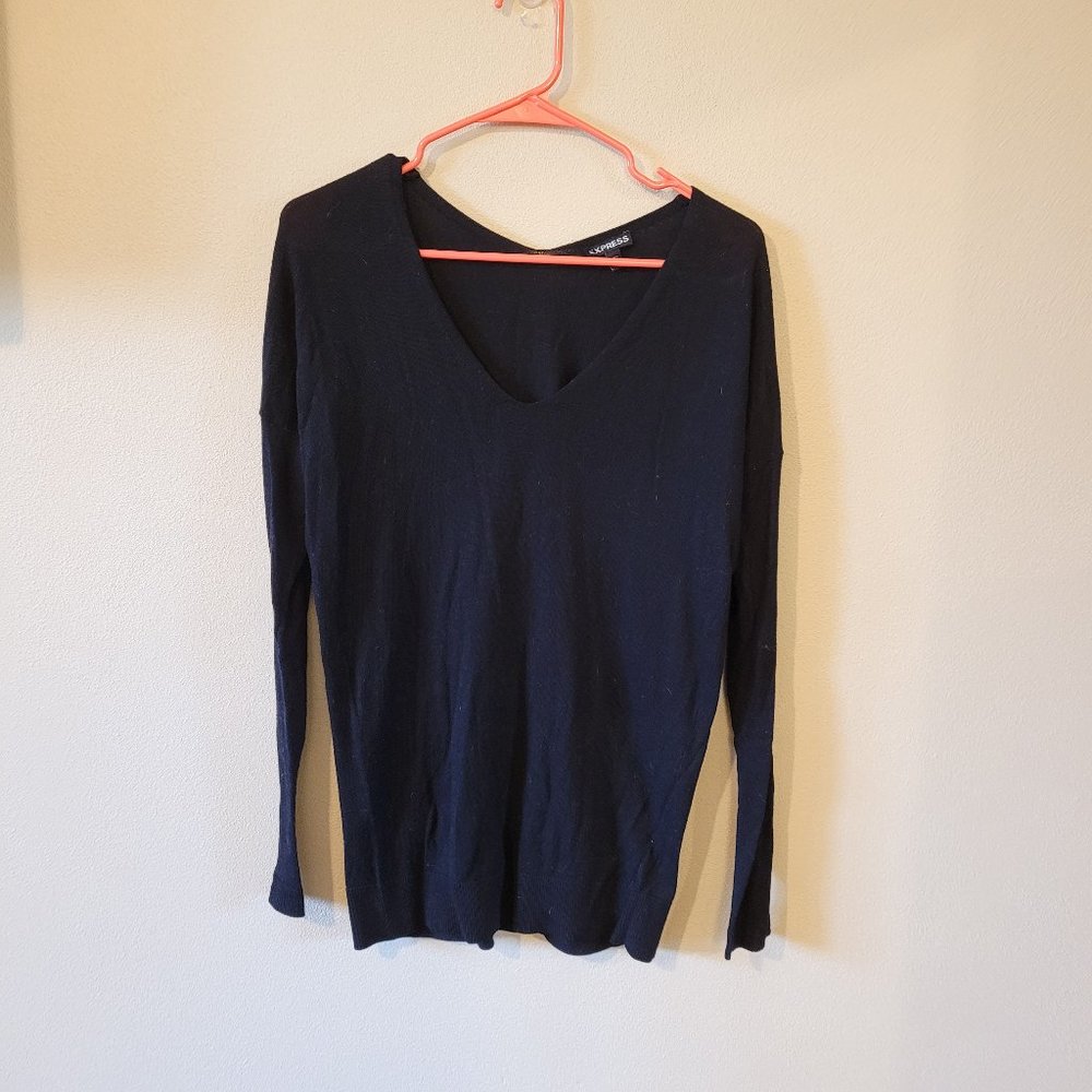 Express Lightweight V-neck Tunic Sweater